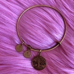 🌼EUC Alex and Ani Gold Charm Bangle🌼